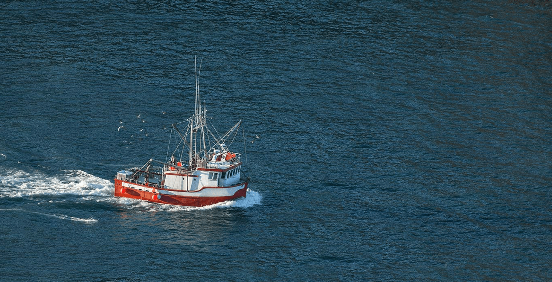 Hanssons Fisk - Profil