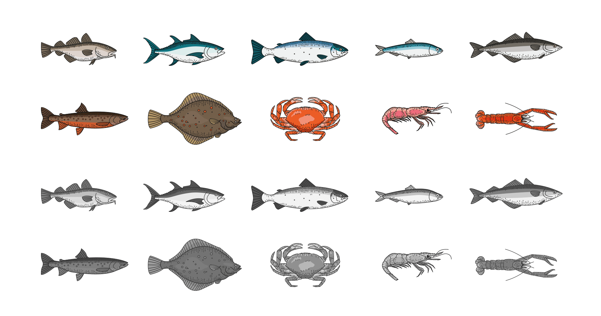 Hanssons Fisk - Profil